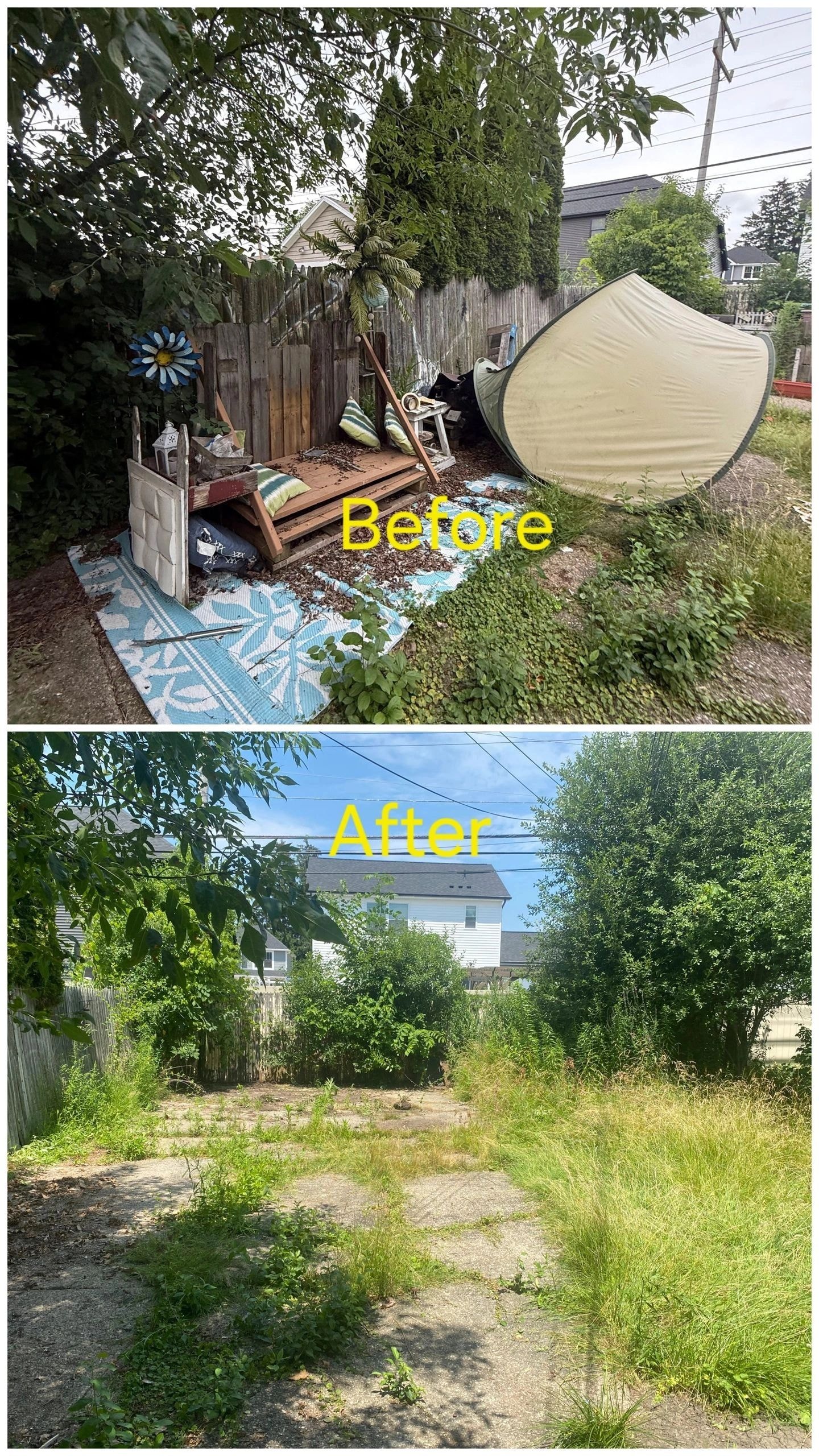 Before and after backyard junk removal