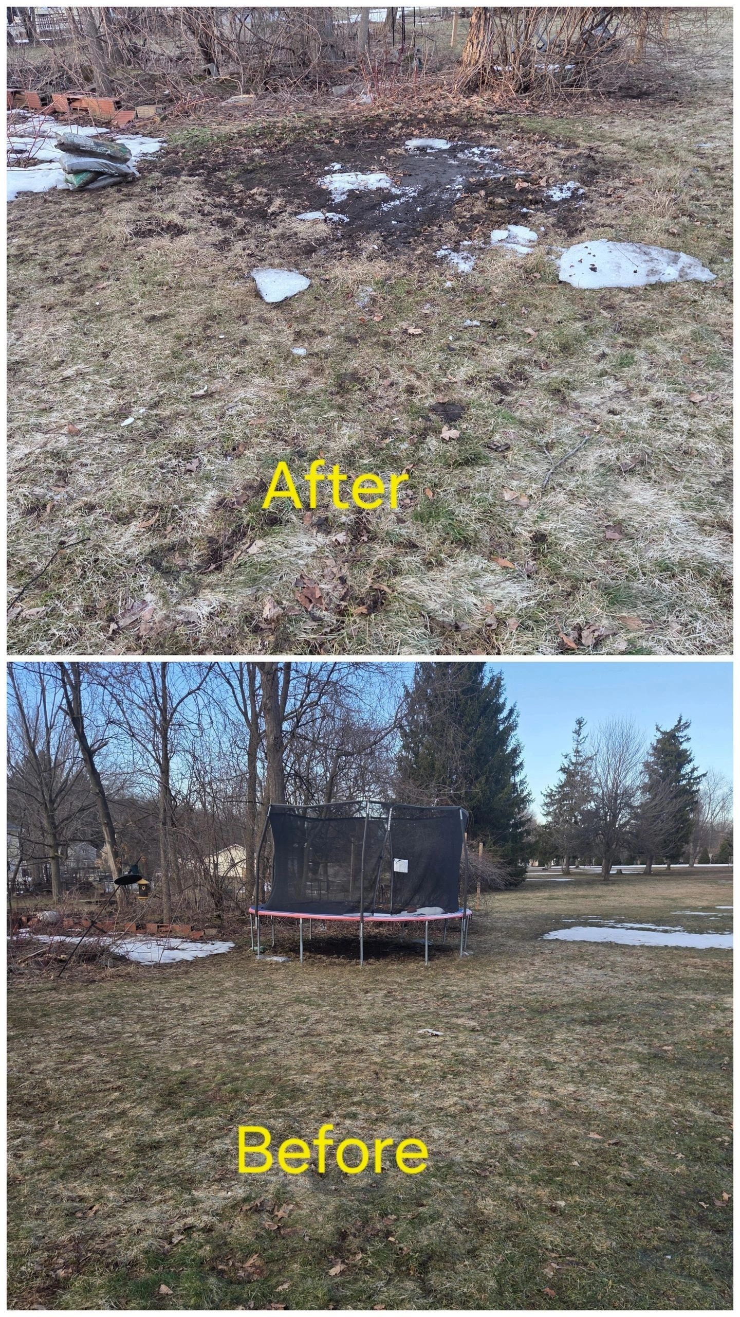 After and before yard cleanup