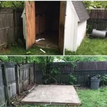 Deck and shed demolition removal crew